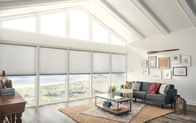 Energy-Efficient Window Shades