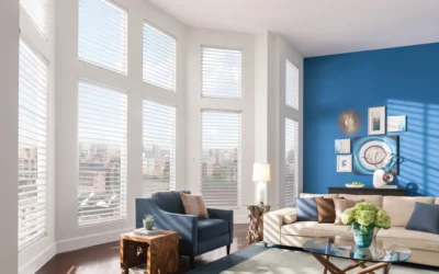 Light-Filtering Shades for Brighter Palm Harbor Homes