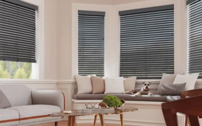 Hurricane-Rated Blinds Palm Harbor | 2026 Storm Prep Guide