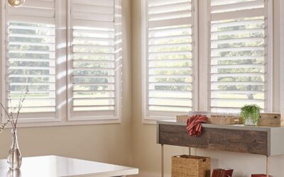 Solar Reflective Blinds Palm Harbor | Beat Summer Heat